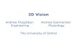 3D Vision The University of Oxford Andrew Glennerster Physiology Andrew Fitzgibbon Engineering