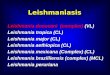 1 Leishmaniasis Leishmania donovani (complex) (VL) Leishmania tropica (CL) Leishmania major (CL) Leishmania aethiopica (CL) Leishmania mexicana (Complex)