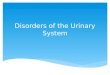 Disorders of the Urinary System.  Common Urinary Terms  Cystitis  Glomerulonephritis  Renal calculi  Renal failure  Renal failure tx options What