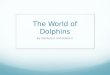 The World of Dolphins By Makayla E and Baillie C