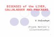 1 DISEASES of the LIVER, GALLBLADDER AND PANCREAS V.Voloshyn (Frank Netter’s illustrations)
