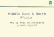 Why is this an insurance growth region? Middle East & North Africa