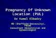 Pregnancy Of Unknown Location (PUL) Dr Kamel Elbadry MD (Sheffield University), FRCOG MD (Sheffield University), FRCOG Consultant Obstetrician and Gynaecologist