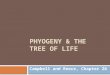 PHYOGENY & THE TREE OF LIFE Campbell and Reece, Chapter 26