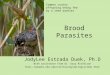 Brood Parasites JodyLee Estrada Duek, Ph.D With assistance from Dr. Gary Ritchison  Common cuckoo offspring
