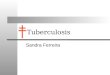 Tuberculosis Sandra Ferreira. Agenda What is Tuberculosis History of Treatment Our Immune Response PA-824 Conclusions 2