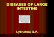 DISEASES OF LARGE INTESTINE Lykhatska G.V.. IRRITABLE BOWEL SYNDROME