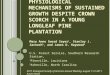 P HYSIOLOGICAL MECHANISMS OF SUSTAINED GROWTH DESPITE CROWN SCORCH IN A YOUNG LONGLEAF PINE PLANTATION Mary Anne Sword Sayer 1, Stanley J. Zarnoch 2, and