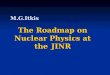 The Roadmap on Nuclear Physics at the JINR M.G.Itkis