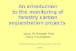 An introduction to the monitoring of forestry carbon sequestration projects Developing Forestry and Bioenergy Projects within CDM Ecuador March, 2004 Igino
