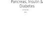 Pancreas, Insulin & Diabetes In One Day 2015