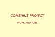 COMENIUS PROJECT WORK AND JOBS Traditionally, there have been jobs done mainly by men, and others by women BRICKLAYER