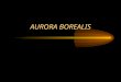 AURORA BOREALIS. Click For Movie The aurora borealis (northern lights), and the aurora australis (southern lights) are beautiful, dynamic, luminous