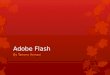 Adobe Flash By Tammy Armani. Choosing a Document Type