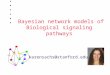 Bayesian network models of Biological signaling pathways karensachs@stanford.edu