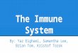 The Immune System By: Yaz Eighaei, Samantha Lee, Brian Tom, Kristof Torok