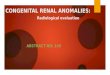 CONGENITAL RENAL ANOMALIES: Radiological evaluation ABSTRACT NO: 143