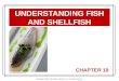 Copyright © 2014 John Wiley and Sons, Inc. All rights reserved. C HAPTER 19 UNDERSTANDING FISH AND SHELLFISH