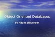 Object Oriented Databases by Adam Stevenson. Object Databases Became commercially popular in mid 1990’s Became commercially popular in mid 1990’s You