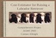 Cost Estimator for Raising a Labrador Retriever Comprehensive Project AGME 2903 Carmen Albright
