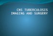 CNS TUBERCULOSIS IMAGING AND SURGERY. Tuberculosis  As old as recorded history  Symptoms described in the Rig Veda (1500 BC)  Unequivocal lesions in