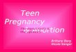 Teen Pregnancy & Abortion Brittany Berg Nicole Sanger The harsh facts & the opinions