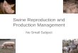 Swine Reproduction and Production Management No Small Subject