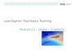 LeanSigma ® Facilitator Training Module 11 – Jidoka – 0 defects