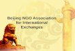 Beijing NGO Association for International Exchanges