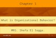 1 Chapter 1 What is Organizational Behavior? MRS. Shefa El Sagga. 9/2/2011 OB