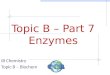 Topic B – Part 7 Enzymes IB Chemistry Topic B – Biochem