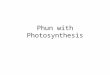 Phun with Photosynthesis. Chapter Overview 7.1: Photosynthetic Organisms 7.2: Plants as Solar Energy Converters 7.3: Light Reactions 7.4: Dark Reactions