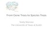 From Gene Trees to Species Trees Tandy Warnow The University of Texas at Austin