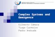 Complex Systems and Emergence Gilberto Câmara Tiago Carneiro Pedro Andrade