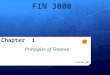 FIN 3000 Chapter 1 Principles of Finance Liuren Wu