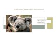 QUALITATIVE RESEA RCH – AN OVERVIEW “Koala-tative research ”