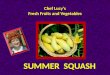 Chef Lucy’s Fresh Fruits and Vegetables SUMMER SQUASH