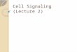 Cell Signaling (Lecture 2). Types of signaling Autocrine Signaling Can Coordinate Decisions by Groups of Identical Cells Cells send signals to other