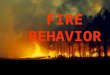 FIRE BEHAVIOR. Surface fire: Ground: Crown: Three types of fire behavior Fuels at or near the surface Subsurface organic fuels (duff, organic soils) Tree