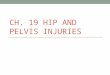 CH. 19 HIP AND PELVIS INJURIES. Bursitis Most common is greater trochanteric bursitis Caused by lack of stretching and improper warm up Treatment: limit