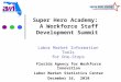 Super Hero Academy: A Workforce Staff Development Summit Florida Agency for Workforce Innovation Labor Market Statistics Center December 16, 2010 Labor
