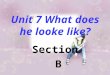 Unit 7 What does he looke like? Section B Section B- -- 3