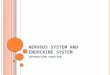 N ERVOUS SYSTEM AND ENDOCRINE SYSTEM INTERACTION FUNCTION