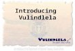 Introducing Vulindlela South African Situation Estimated Expenditure 2001/02 – R258,3 Bil