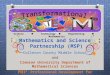 Mathematics and Science Partnership (MSP) Colleton County Middle School and Clemson University Department of Mathematical Sciences PDI 2 Professional Development