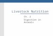 Livestock Nutrition Ch. 2 Digestion in Animals Objectives 1- Describe the nonruminant (monogastric), ruminant, and avian digestive systems. 2- Describe