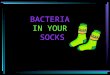 BACTERIA SOCKS BACTERIA IN YOUR SOCKS. Look out, you ’ re surrounded! Bacteria are multiplying in your guts, squiggling in your food – and (gross!) Don