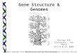 Biology 224 Instructor: Tom Peavy Oct 12 & 14, 2009 Gene Structure & Genomes