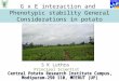 G x E interaction and Phenotypic stability General Considerations in potato breeding S K Luthra Principal Scientist
