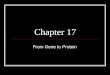 Chapter 17 From Gene to Protein. Main Questions: The information content in DNA is the specific sequence of nucleotides along the DNA strands. How does